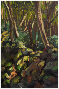 Gotjawal forest – oil painting by Peter Gulian
