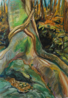 Quecrsu glauca– pastel drawing by Peter Gulian